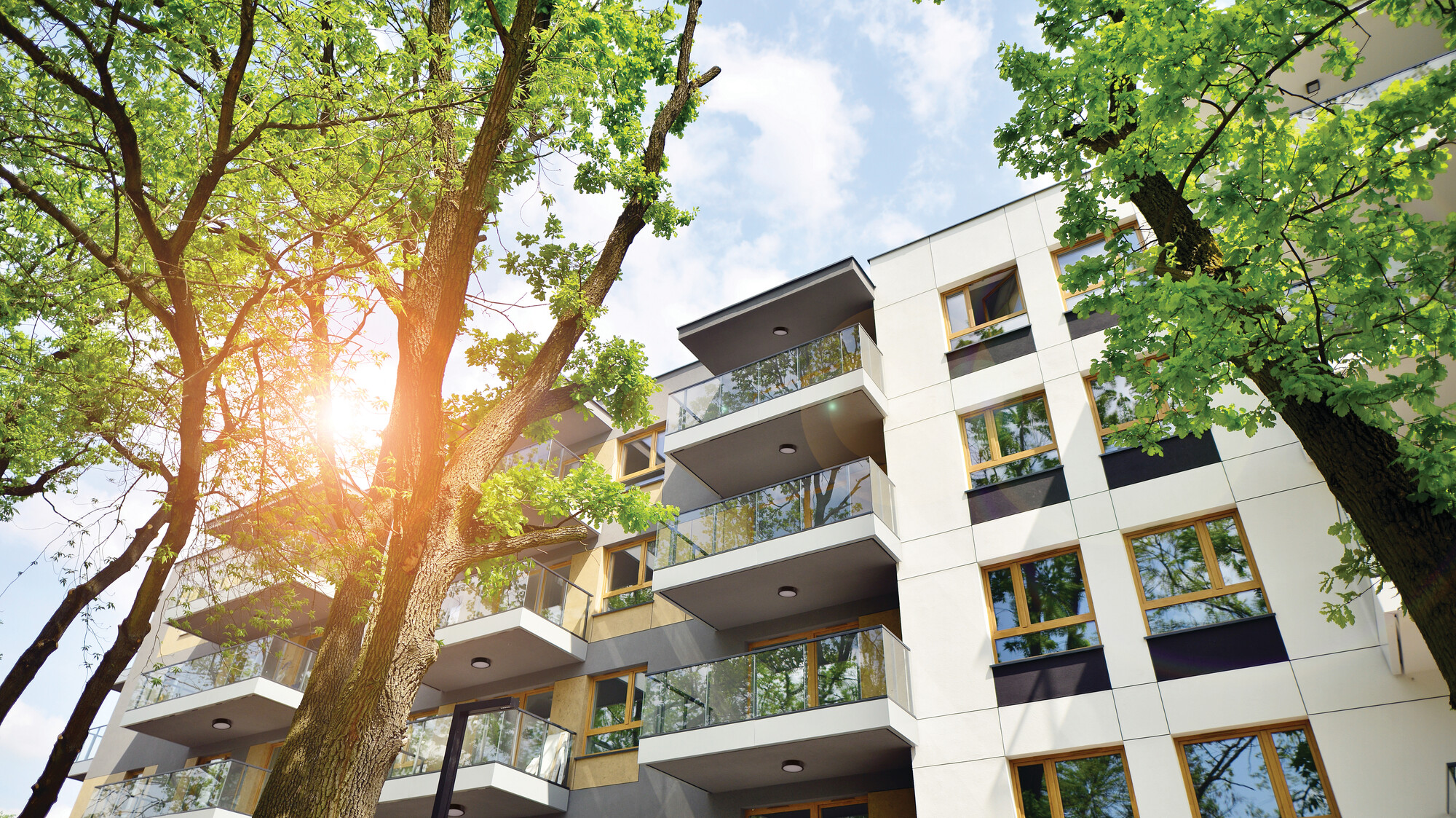 Aranżacja DABER 8-13W CCT SE W