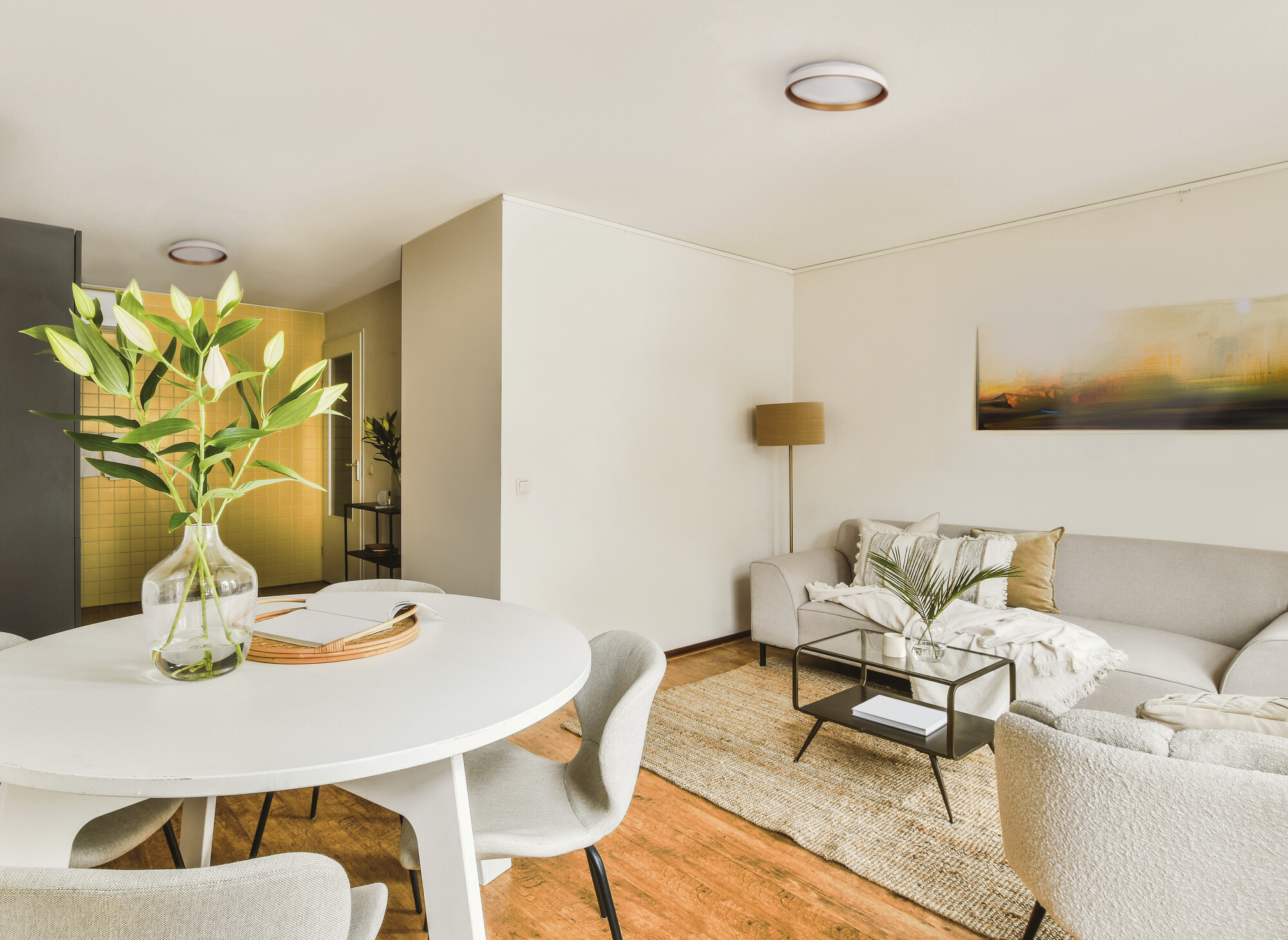 Aranżacja SOLN LED CCTDIM W/G