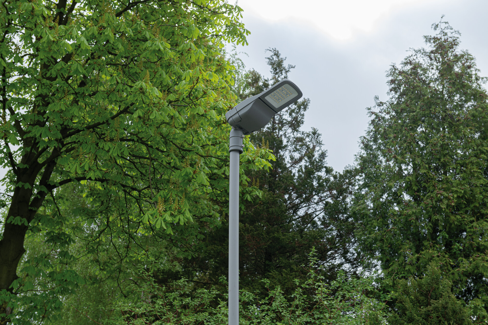 Aranżacja PRO-S S 50W-ZH NW