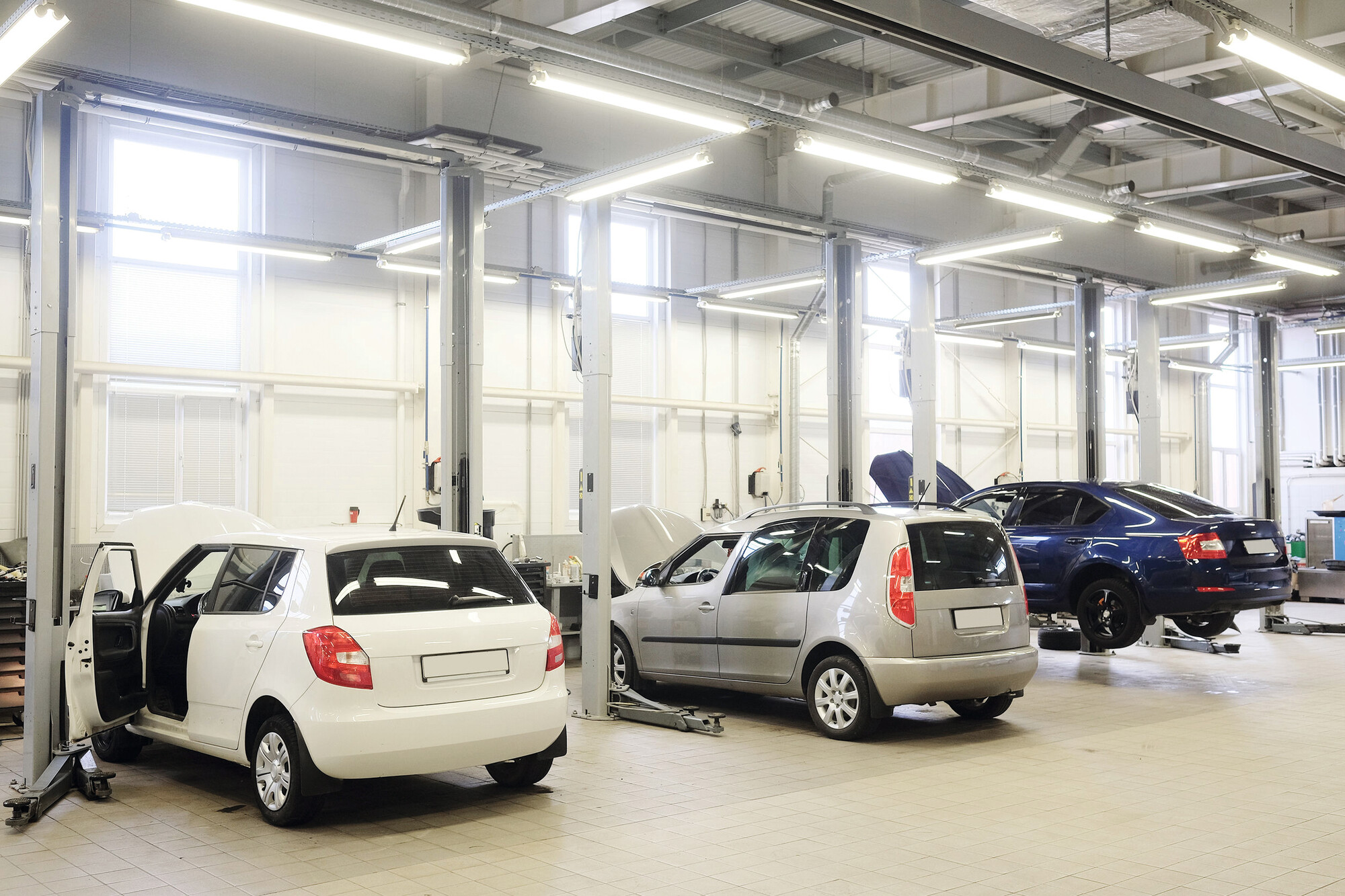 Aranżacja GL-MAH-1258/A-PS