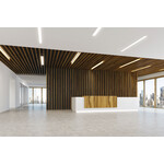 Miniatura aranżacji AL-LH-WW-MAT-W-PT