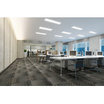 Miniatura aranżacji OS-H5D-WW-RST-W-P3