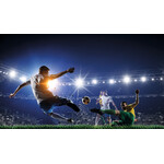 Miniatura aranżacji FLS LENS 40D