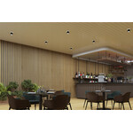 Miniatura zdjęcia dzień-noc SONOR GU10 CO-B WW