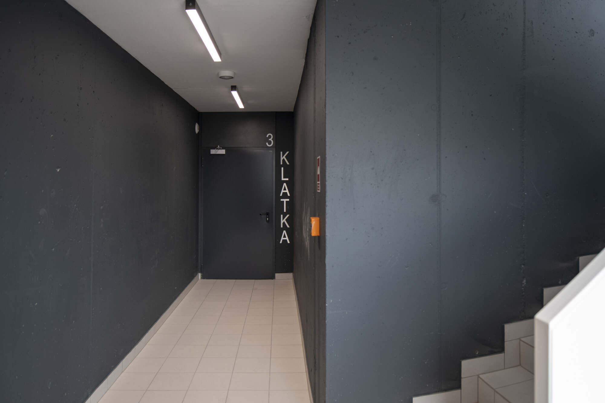 Świetlówki Kanlux T8 LED GLASSv3 w szklanym korpusie - profesjonalne oświetlenie do biur, magazynów, parkingów i wielu innych miejsc.