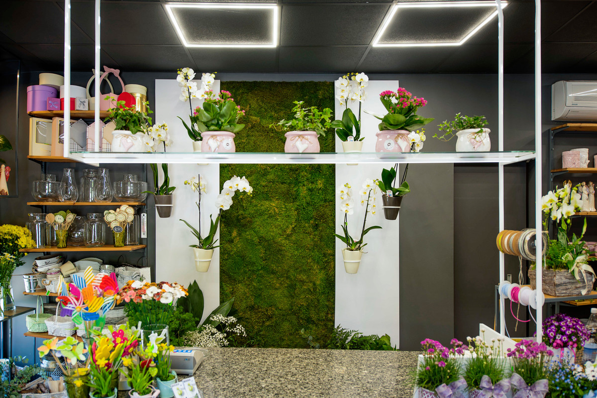 See how florist's lighting affects first impressions - 2