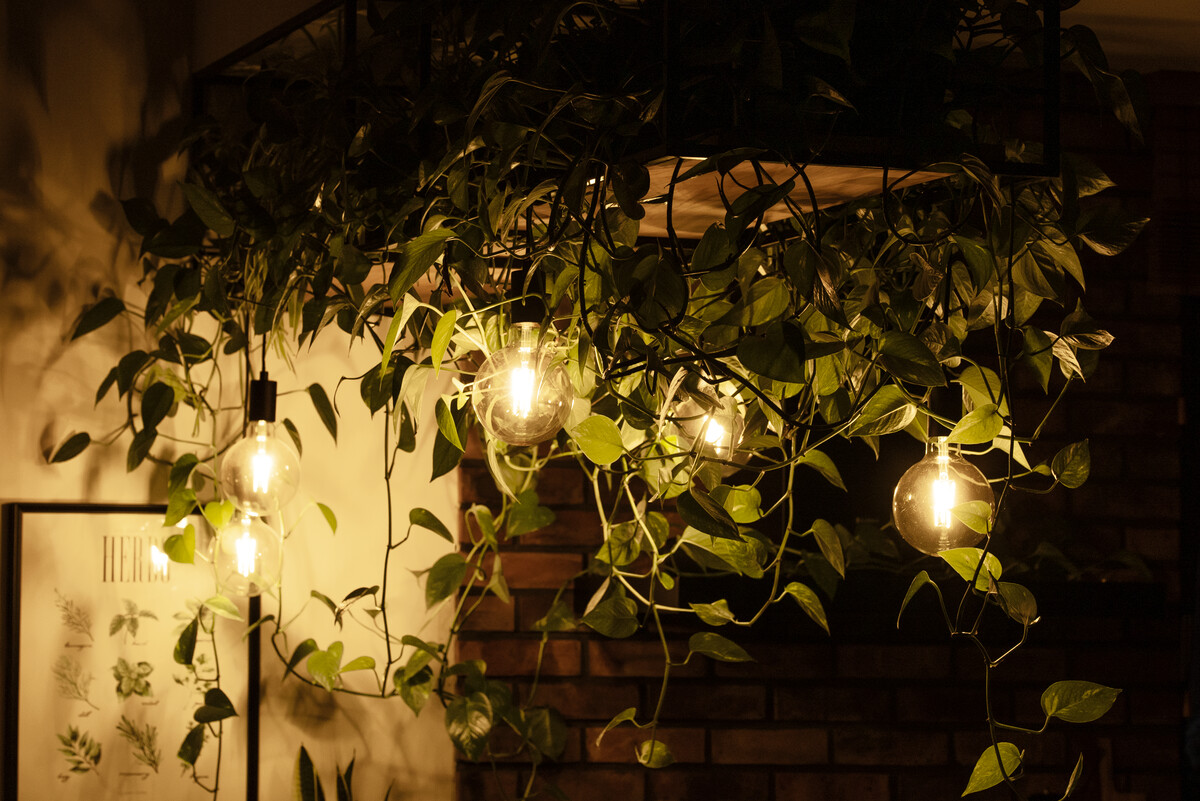 Private garden in Tarnów - 2