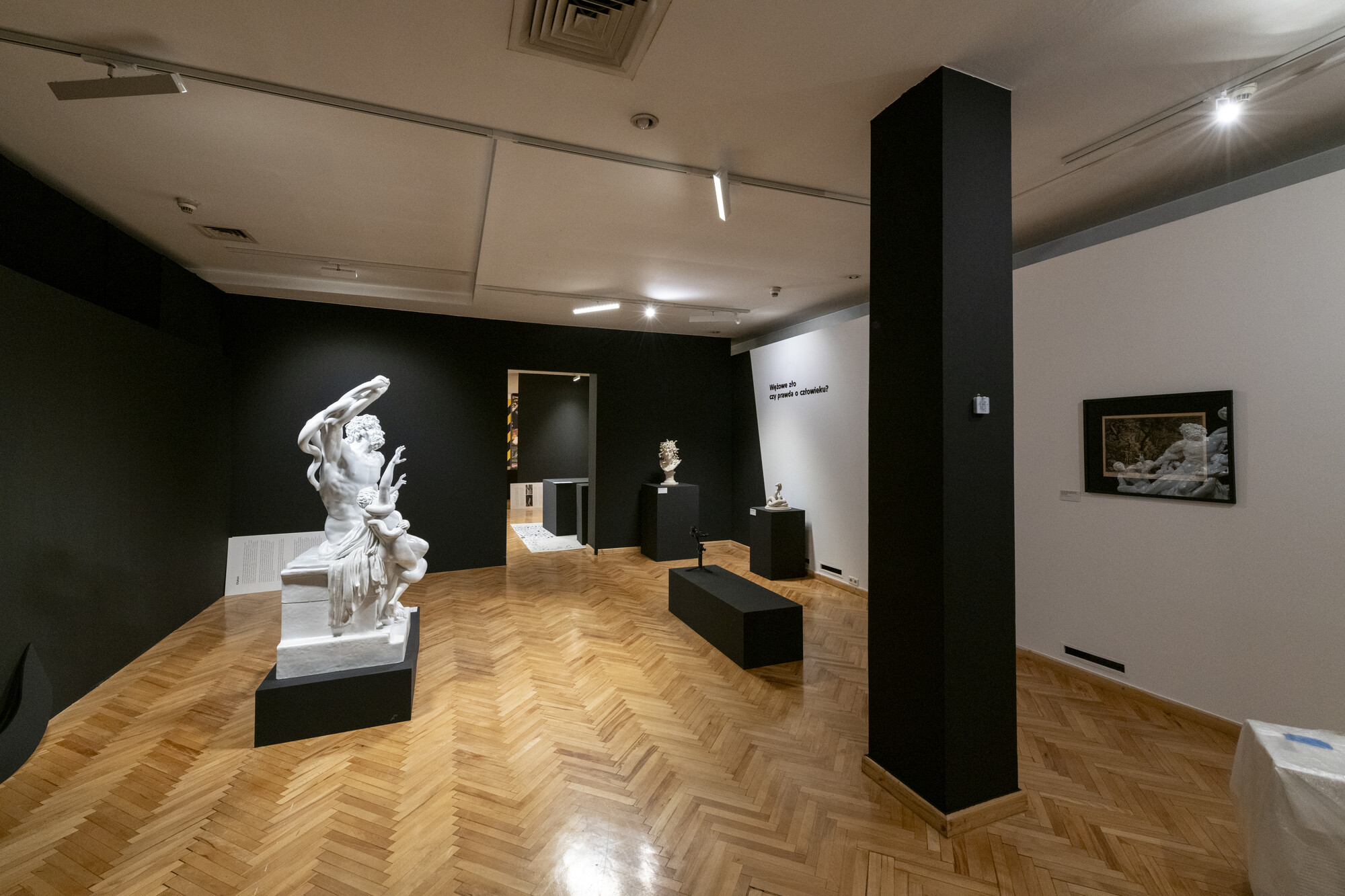 Muzeum Górnośląskie w Bytomiu – wystawa „Zwierzęta przeklęte, wąż” - 3