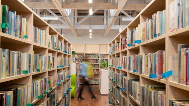 Свет на службе знания, освещение библиотеки в Корнике